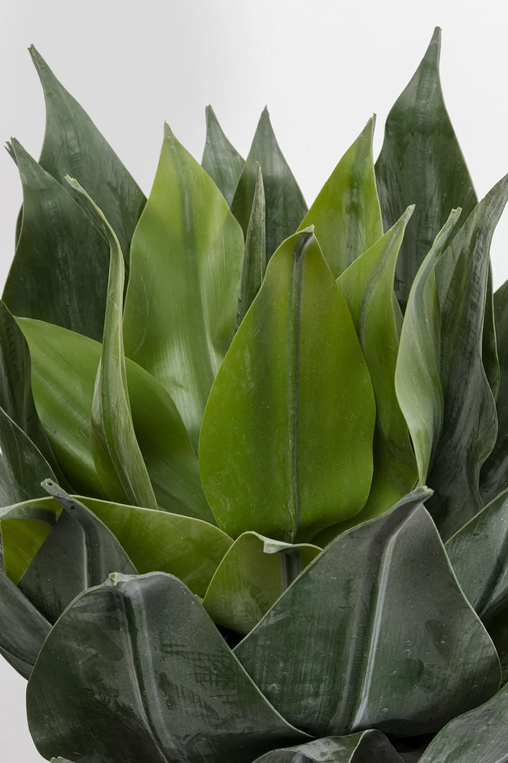 Tekokasvit>KARE Design Agave Tekokasvi 120cm