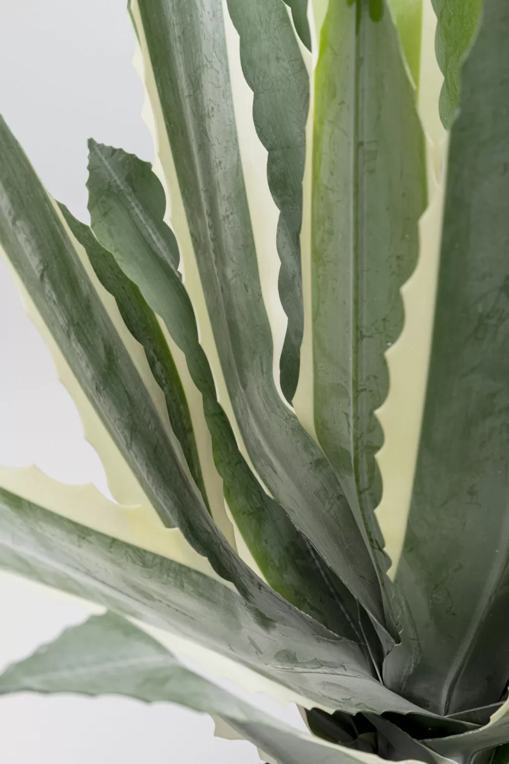 Tekokasvit>KARE Design Agave Tekokasvi 50cm