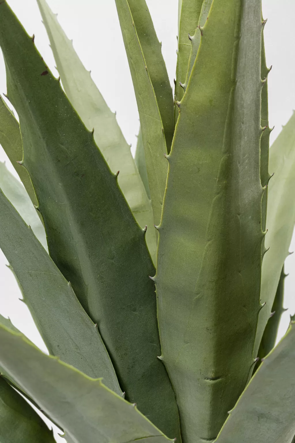 Tekokasvit>KARE Design Agave Tekokasvi 85cm