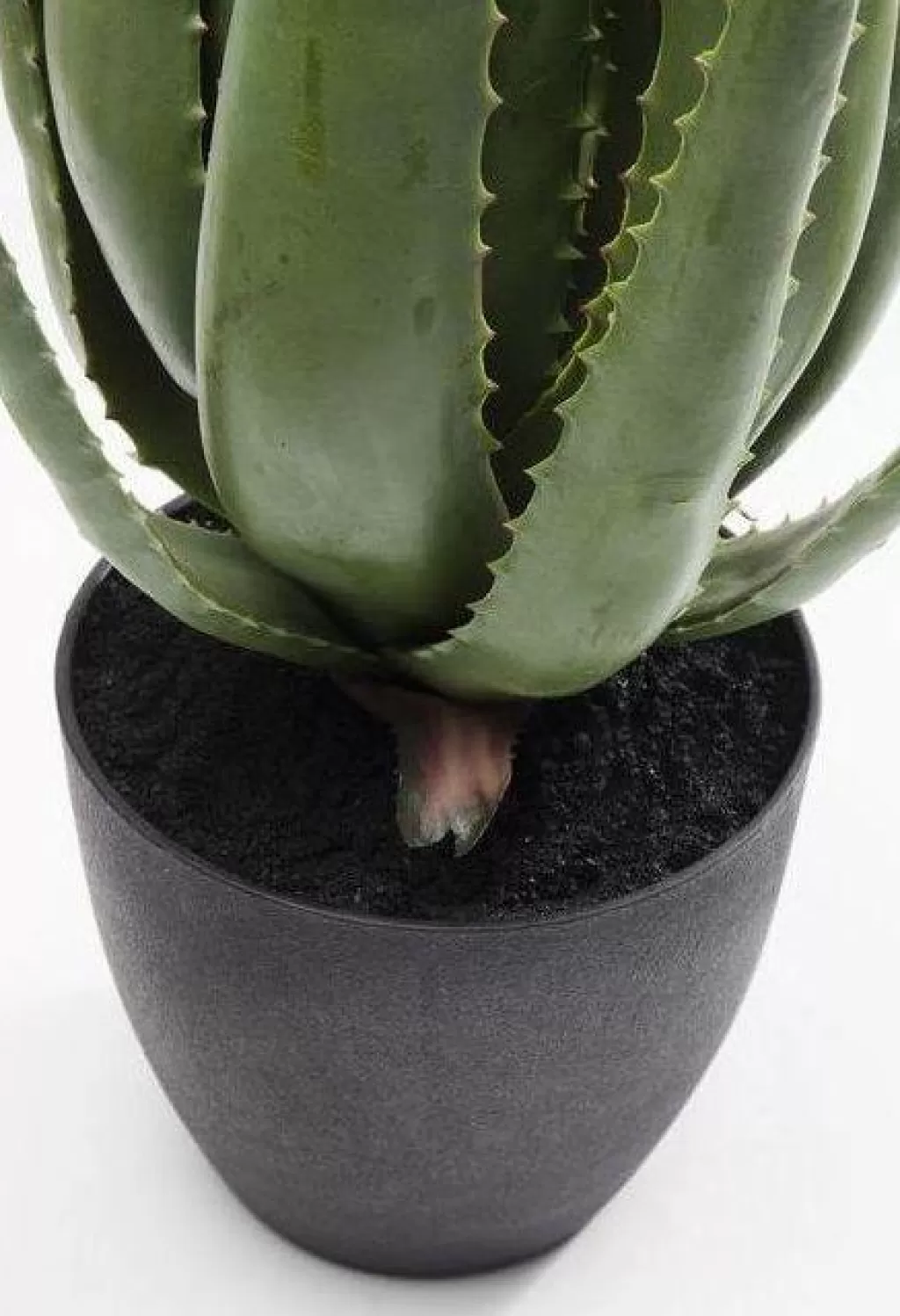 Tekokasvit>KARE Design Aloe Tekokasvi 69cm