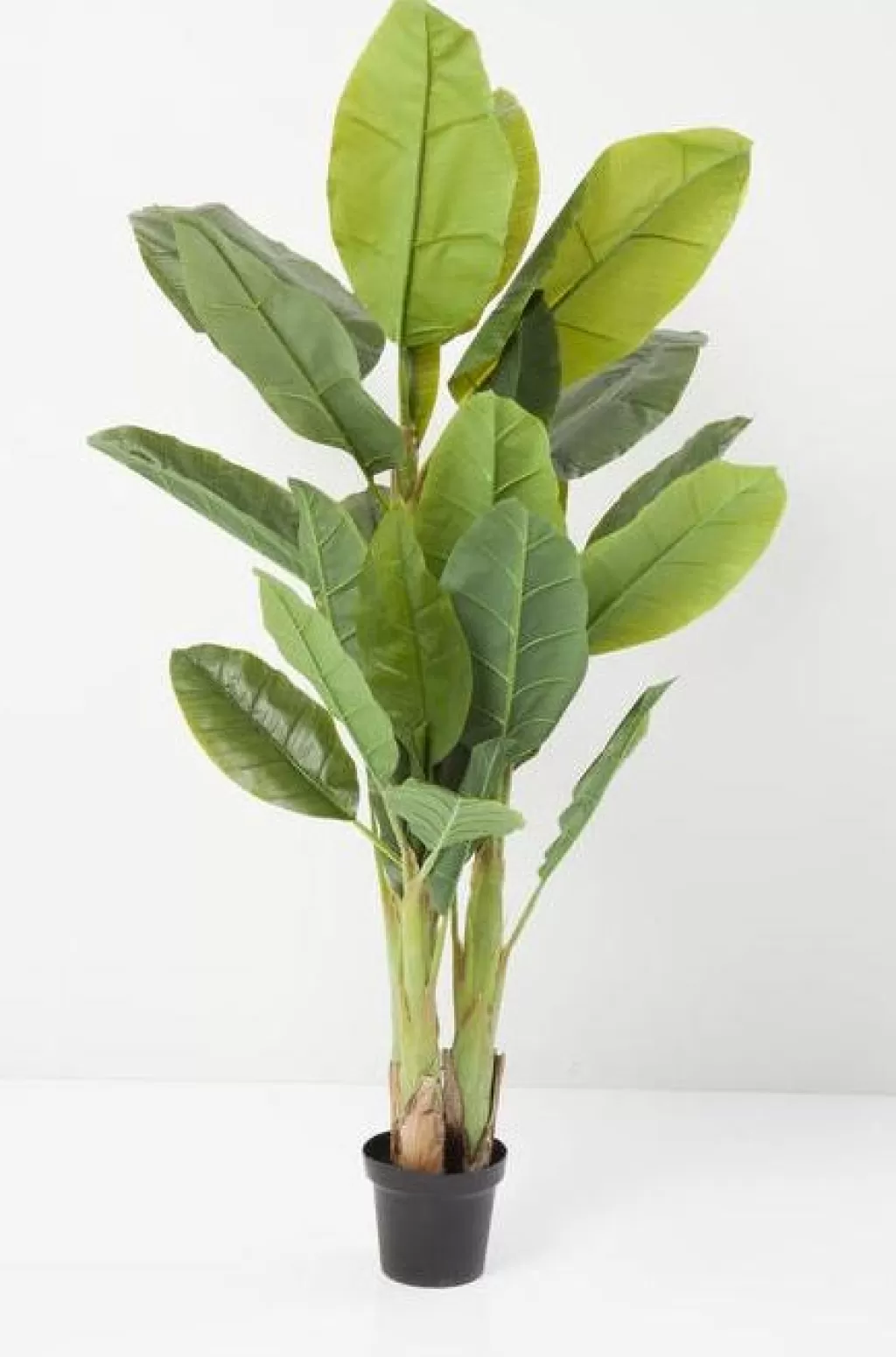 Tekokasvit>KARE Design Banana Tree Tekokasvi 180cm