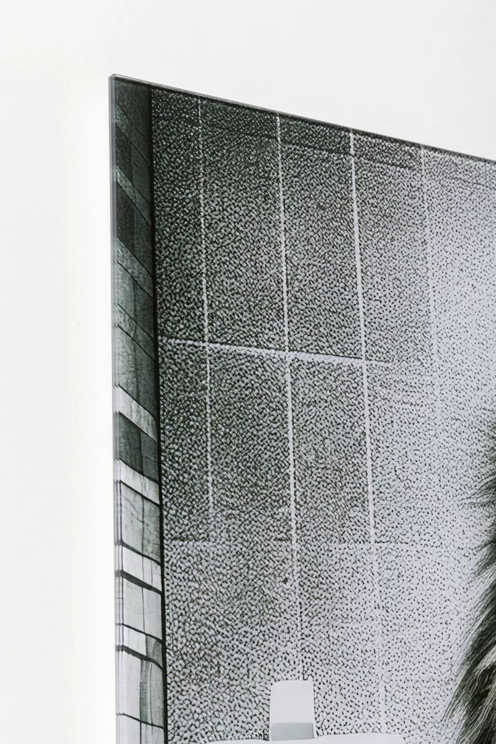 Taulut | Olohuone>KARE Design Bath Lion Leijona Lasitaulu 60x80cm