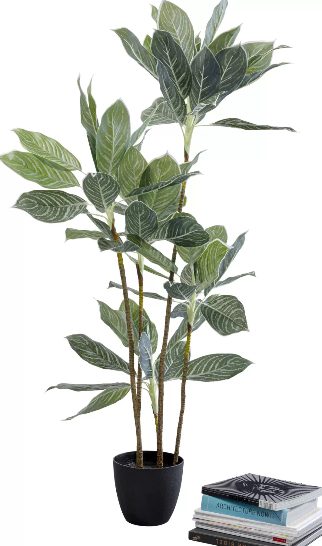 Tekokasvit>KARE Design Calathea Tekokasvi 140cm