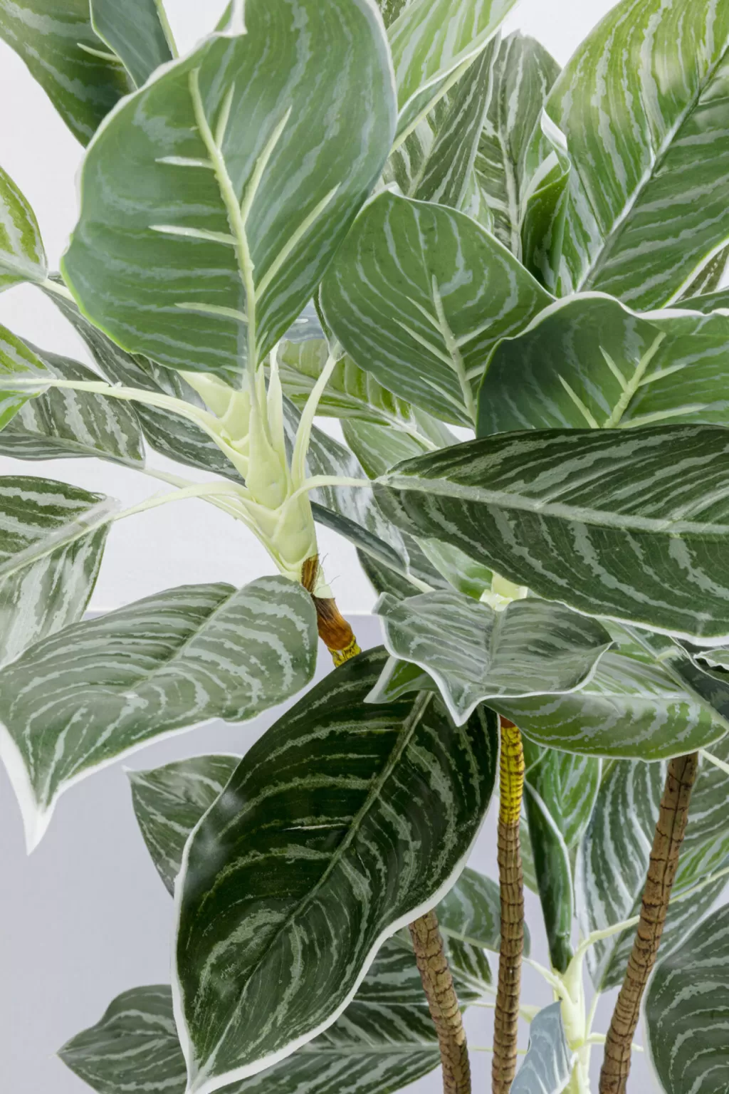 Tekokasvit>KARE Design Calathea Tekokasvi 140cm