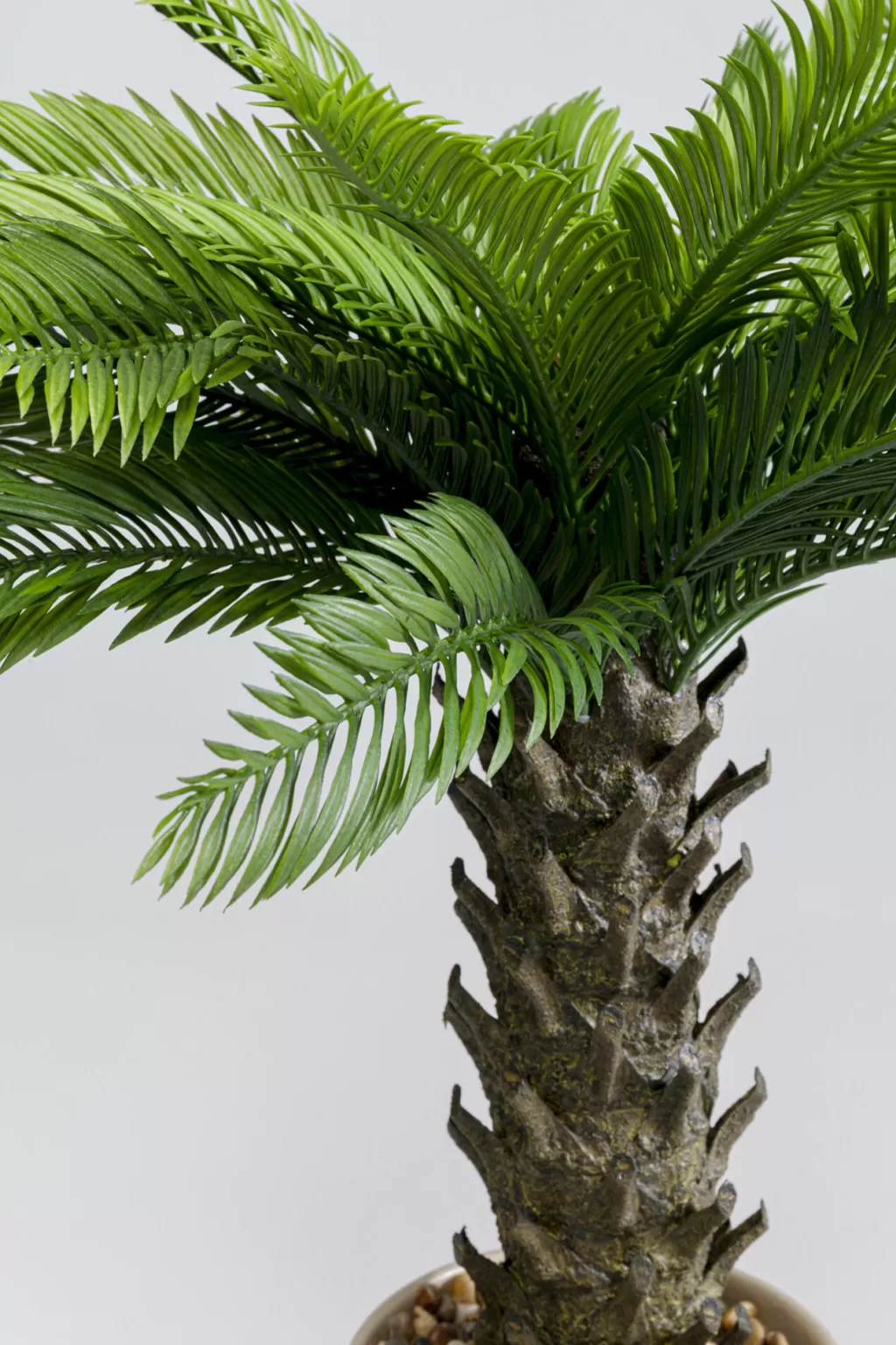 Tekokasvit>KARE Design Cycas Tekokasvi 70cm