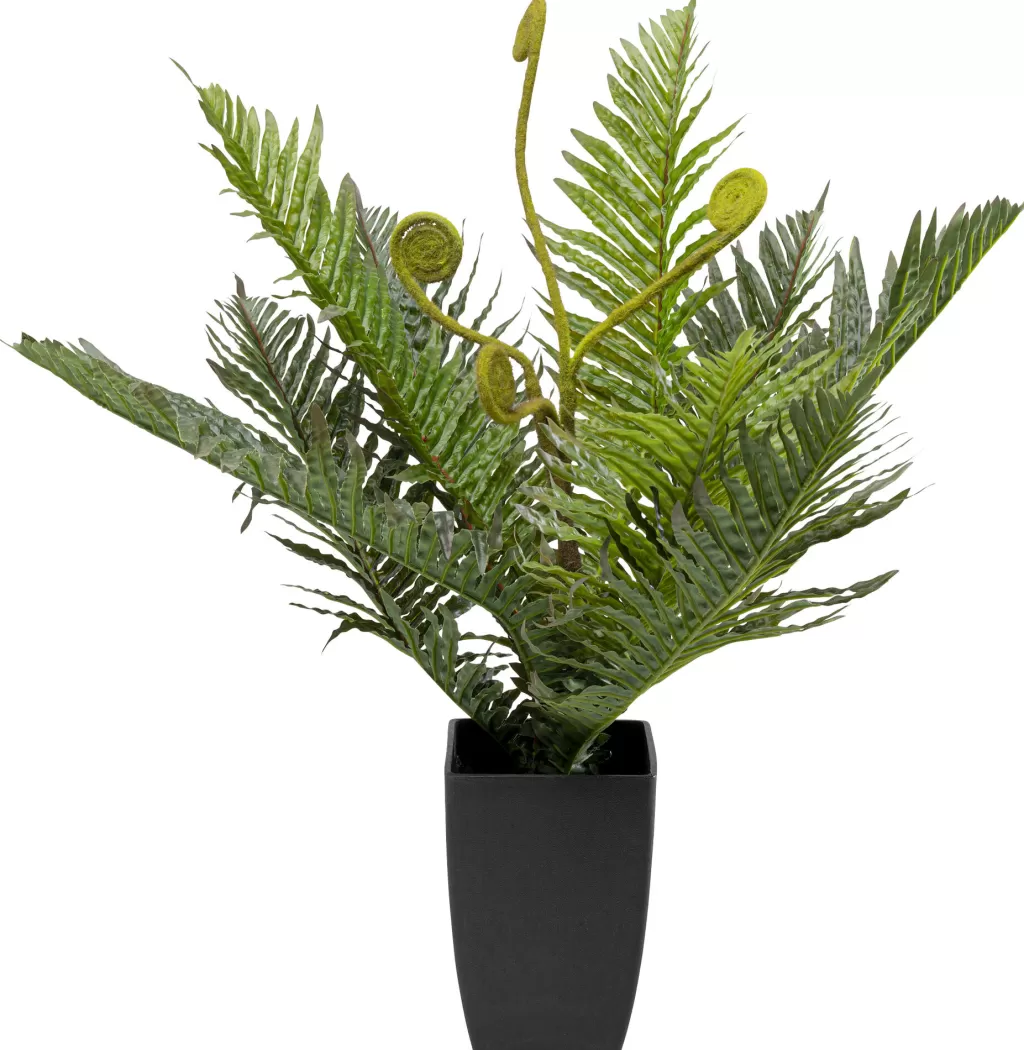 Tekokasvit>KARE Design Farn Saniaininen Tekokasvi 55cm